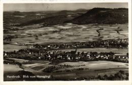 CPA AK Hersbruck Blick Vom Hansgorgl GERMANY (959622) - Hersbruck