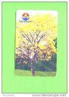 PARAGUAY - Chip Phonecard As Scan - Paraguay