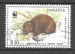 Jamaican Hutia Of Indian Coney : N°897 Chez YT. (Voir Commentaires) - Gebruikt