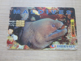 10 Years Of Card Telephone Service,fish, Used With Scratch - Maldivas