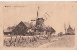 Postkaart-Carte Postale ASSENEDE Molenzicht In Polder - Molen   (B193) - Assenede
