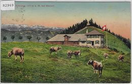 Wirtschaft Kreuzegg Bei Wattwil - Kuhherde Vaches Cows - Wattwil