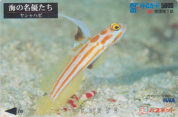 Carte Prépayée Japon - ANIMAL - Série NAUI DIVING 2/8 - POISSON - FISH Japan Prepaid Metro Card - FISCH - 528 - Peces