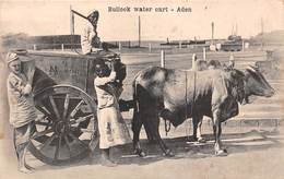 ¤¤   -  YEMEN   -  ADEN   -  Bullock Water Cart  -   Attelage    -   ¤¤ - Jemen