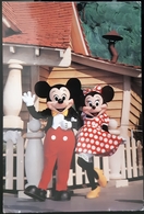 Disneyland Carte Postale - Disneyland