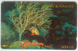 1CTTC  US$10 Under The Sea - Turks E Caicos (Isole)