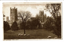 CPA-Carte Postale -Royaume Uni- Ely- Cathedral From South   VM17234 - Ely