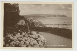 ROYAUME UNI - ENGLAND - ISLE OF WIGHT - SANDOWN - Hydrangeas - Sandown