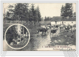 BERNIMONT ..-- 1907 Vers Château Des CROISETTES à JAMOIGNE ( Mr François OGY ) . Voir Verso . - Neufchâteau