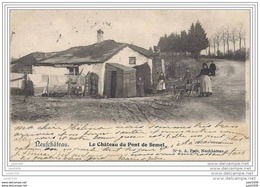 SEMEL ..-- RARE . Attelage De CHIEN . Château Du Pont De SEMEL . 1904 Vers FRANCE . Voir Verso .. - Neufchâteau