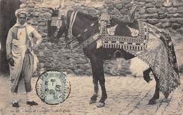 Sport.   Hippisme :      Tunisie  Cheval Et Cavalier   (voir Scan) - Ippica