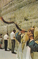 CPM 10 X15  JUDAICA . ISRAEL .JERUSALEM . Rabbin Sonnant Le Shofar Devant Le Mur Des Lamentations (Beau Plan) - Judaisme