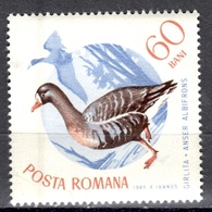 RO+ Rumänien 1965 Mi 2435 Mnh Bläßgans GH - Unused Stamps