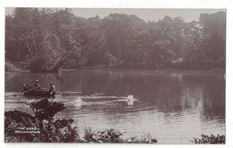 POSTCARD THE LAKE WALHAMPTON Animation Mens, Boat - Other & Unclassified
