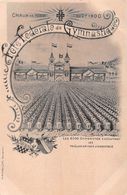 Fête Fédérale De Gymnastique De 1900. La Chaux-De-Fonds - 6500 Gymnastes - Sonstige & Ohne Zuordnung