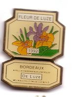 N268 Pin's Vin Bordeaux SAINT-LOUBES Gironde Fleur De Luze Narcisse Jonquille? Achat Immédiat - Boissons