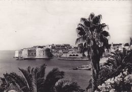 CROATIE,DUBROVNIK,prés De Bosnie Herzégovine,monténégro,CARTE PHOTO,1958 - Croatie