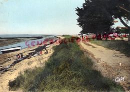 44 - BOURGNEUF EN RETZ - LA RADE ET LA POINTE AUX SABLES- 1965 - Bourgneuf-en-Retz