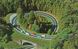 CPSM - USA - The Loop Over U.S. 441 - Great Smoky Mountains National Park - American Roadside