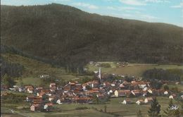 D-93480 Hohenwarth Bei Kötzting (Bayer.Wald) - Panorama ( 60er Jahre) - Cham