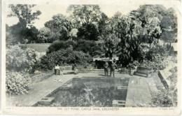 COLCHESTER  ESSEX The Lily Pond  Castle Park  Tuck Card - Colchester