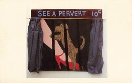 CPSM - USA - See A Pervet By Susan Baker - The Susan Baker Memorial Museum North Truro - Nantucket