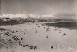 AUDIERNE. - La Plage.  CPM-photo Dentelée - Audierne