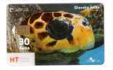 Croatia - Kroatien - Sea Turtle - Underwater - Transparent Card - Schildkröte - Sea World - Turtles