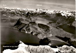 Bürgenstock Mit Den Alpen (0347) * 26. 8. 1975 - Other & Unclassified