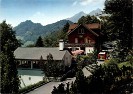 Bürgenstock-Hotels 900 M - Taverne (8416) - Sonstige & Ohne Zuordnung