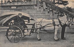 PARIS-75016- JARDIN D'ACCLIMATATION , VOITURE DE L'ANE BLANC - Arrondissement: 16