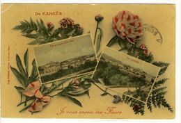 Carte Postale Ancienne Fantaisie Carcès - Je Vous Envoie Ces Fleurs - Multivues - Carces