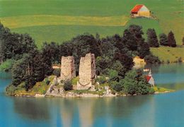 Lac De La Gruyère Ruines D'Ogoz (10 X 15 Cm) - Autres & Non Classés