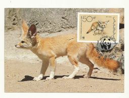 WWF CARTE MAXIMUM THEME  FENNEC + TP  YEMEN. - Perros