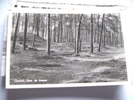 Nederland Holland Pays Bas Ommen Met Doorkijkje In Het Bos - Ommen