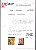 1894 30 Rp Rotbraun Kat Nr. 68De Pf. Plattenfehler HELVETTA Auf Kleinem Ausschnitt Mit Stempel Basel MANDATE - Unused Stamps