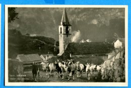 COV1061, RARE, Salvan, Départ Des Chèvres, Goat, Ziege, 2695, Circulée 1930 Sous Enveloppe - Salvan