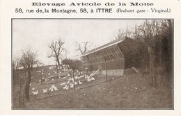 Ittre : Elevage Avicole De La Motte - Ittre