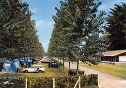 SAINT-PALAIS - Le Camping Ur Alde - Renault 4L Bleu Foncé - Saint Palais