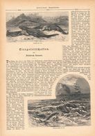 042 Tiergesellschaften Krokodile Fische Artikel Mit 18 Bildern Von 1888 !! - Animals