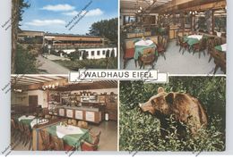 5521 GONDORF, Waldhaus Eifel - Bitburg
