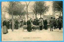 16 - Charente – Angouleme – Croquis De Foire (N0295) - Angouleme