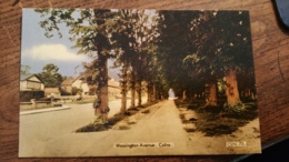 Wessington Avenue - Calne - Other & Unclassified