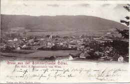 1900 - ODRY    Odrau , Gute Zustand , 2 Scan - Czech Republic