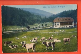 IKB-10 Aux Champs à St.-Cergues  Troupeau De Vaches SG, Non Circulé - Saint-Cergue