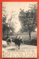 IKB-11 Troupeau De Vaches De Retour à La Ferme. Sceau Le Locle Et St.-Martin 1904 - Le Locle