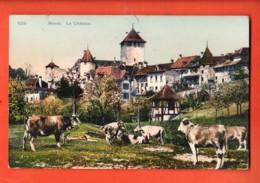 IKB-25 Morat Murten  Troupeau De Vaches Et Le Château. Phototypie  Non Circulé - Murten