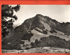 IKB-37  Gersau Rigi Hochfluh  Gelaufen Gross Format - Gersau