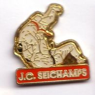 C209 Pin's  Judo SEICHAMPS  MEURTHE MOSELLE Achat Immédiat - Judo