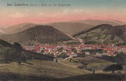 AK Bad Lauterberg - Harz - Blick Von Der Bremerhöhe  (50680) - Bad Lauterberg